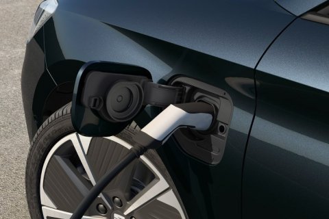 Tydzień dla Ziemi w SEAT Lubin - 3