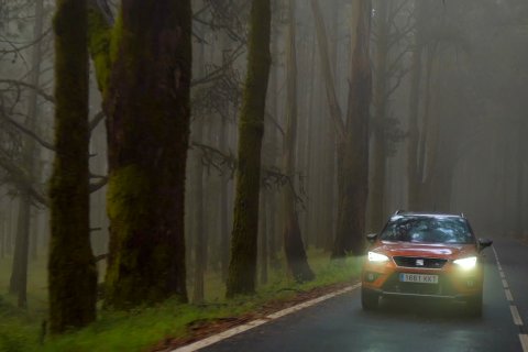 Jesienne wyzwania na drodze – jak sobie z nimi poradzić? - 2